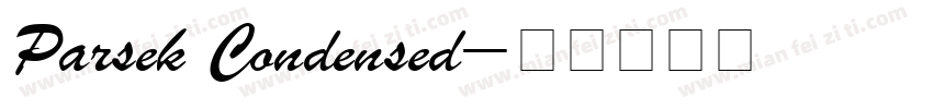 Parsek Condensed字体转换